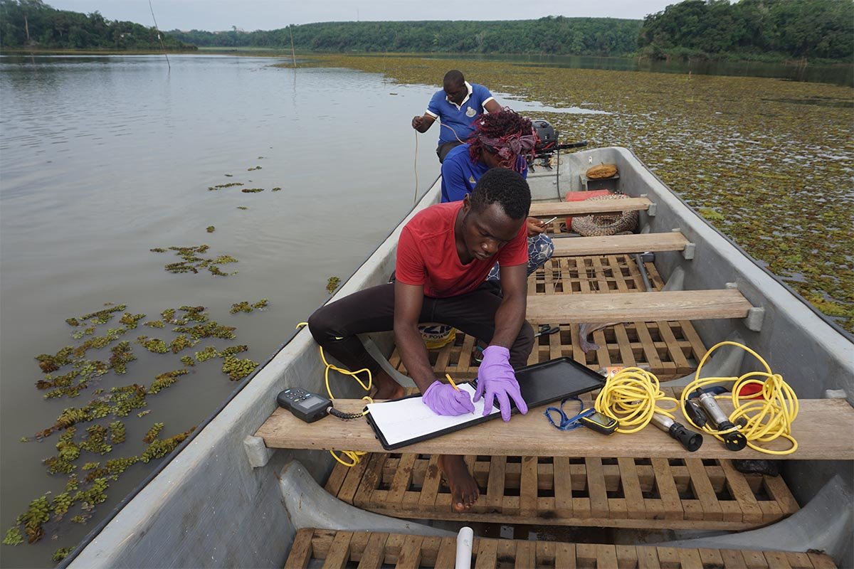 Aquatic ferns: The silent invader of Lake Ossa.